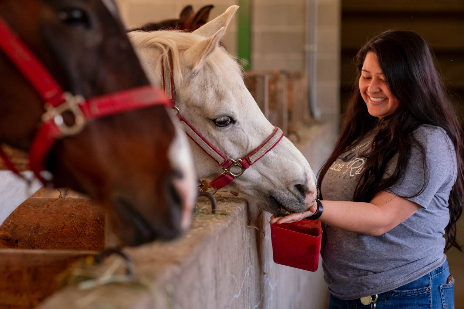 CRISTA Camps Miracle Horse Club - Woman feeding Seniors
