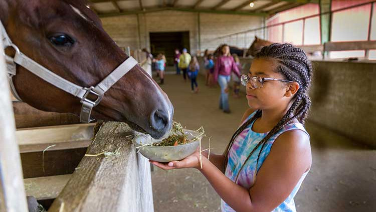 CRISTA Camps at Miracle Ranch - Girl feeding horse
