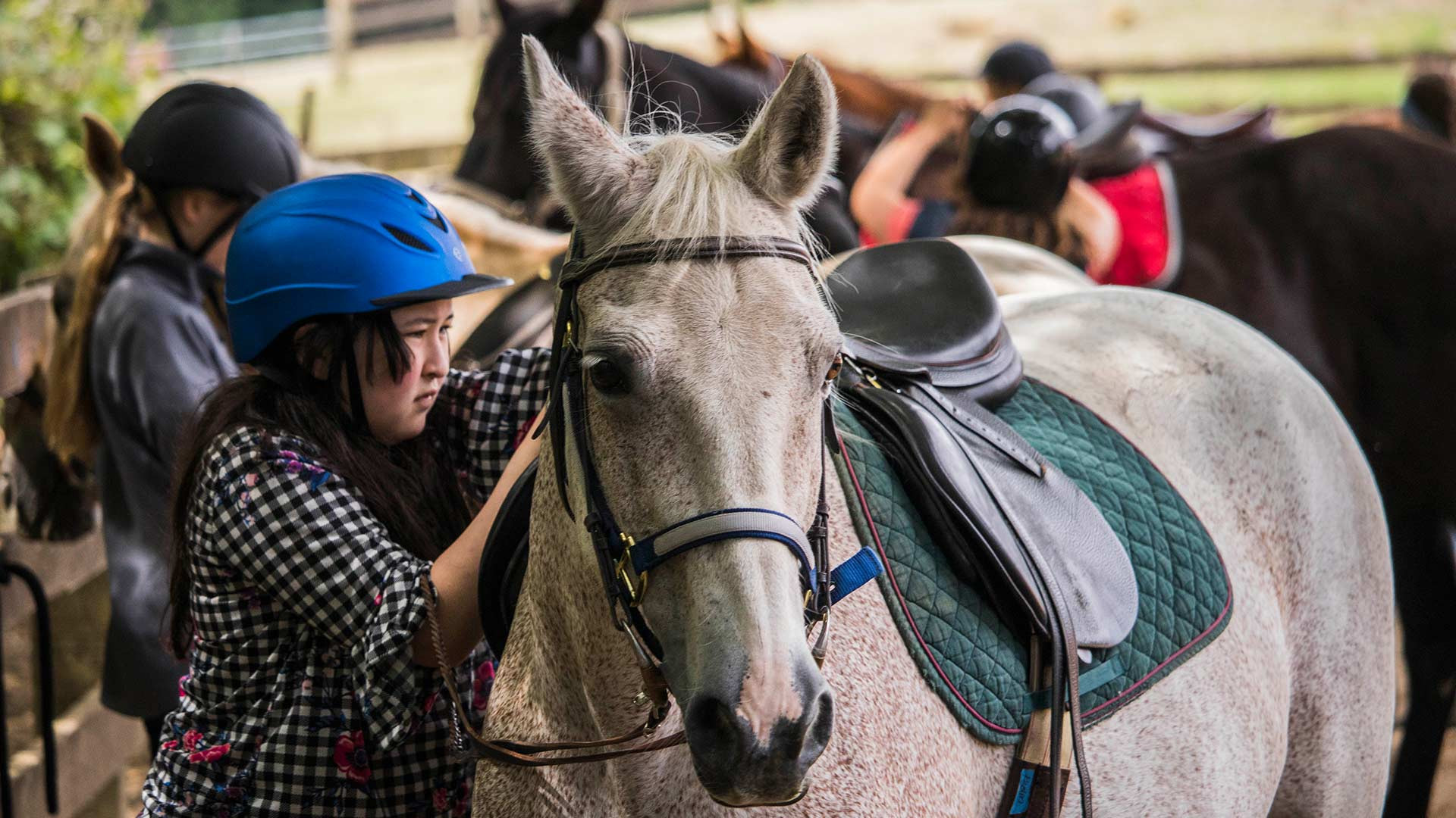 CRISTA Camps Horse Camp Image