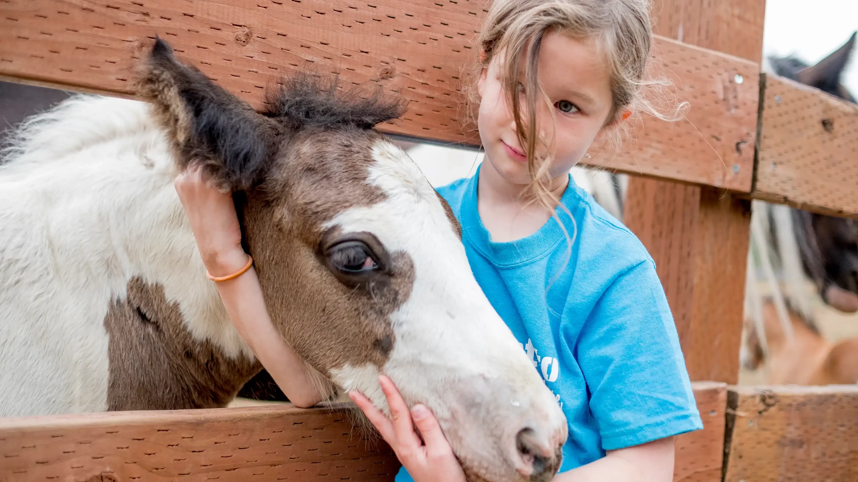 CRISTA Camps at Miracle Ranch - Girl loving horse