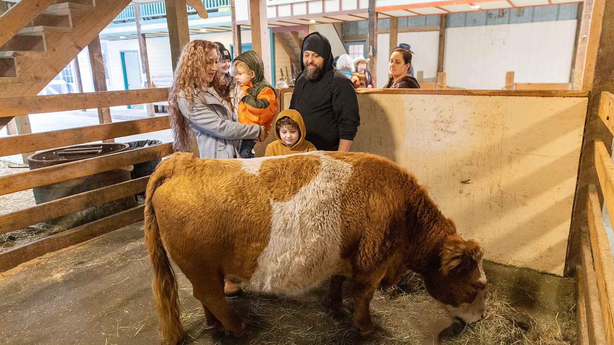 CRISTA Camps Activities - Petting Zoo