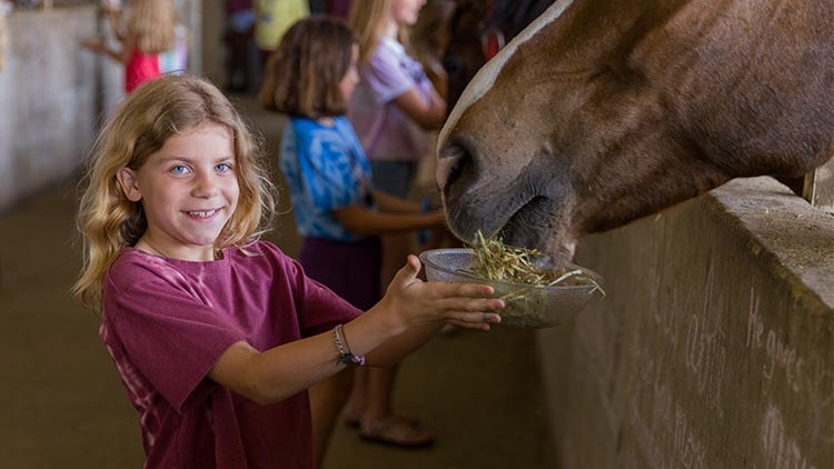 CRISTA Camps at Miracle Ranch -  Young Girl Feeding horse