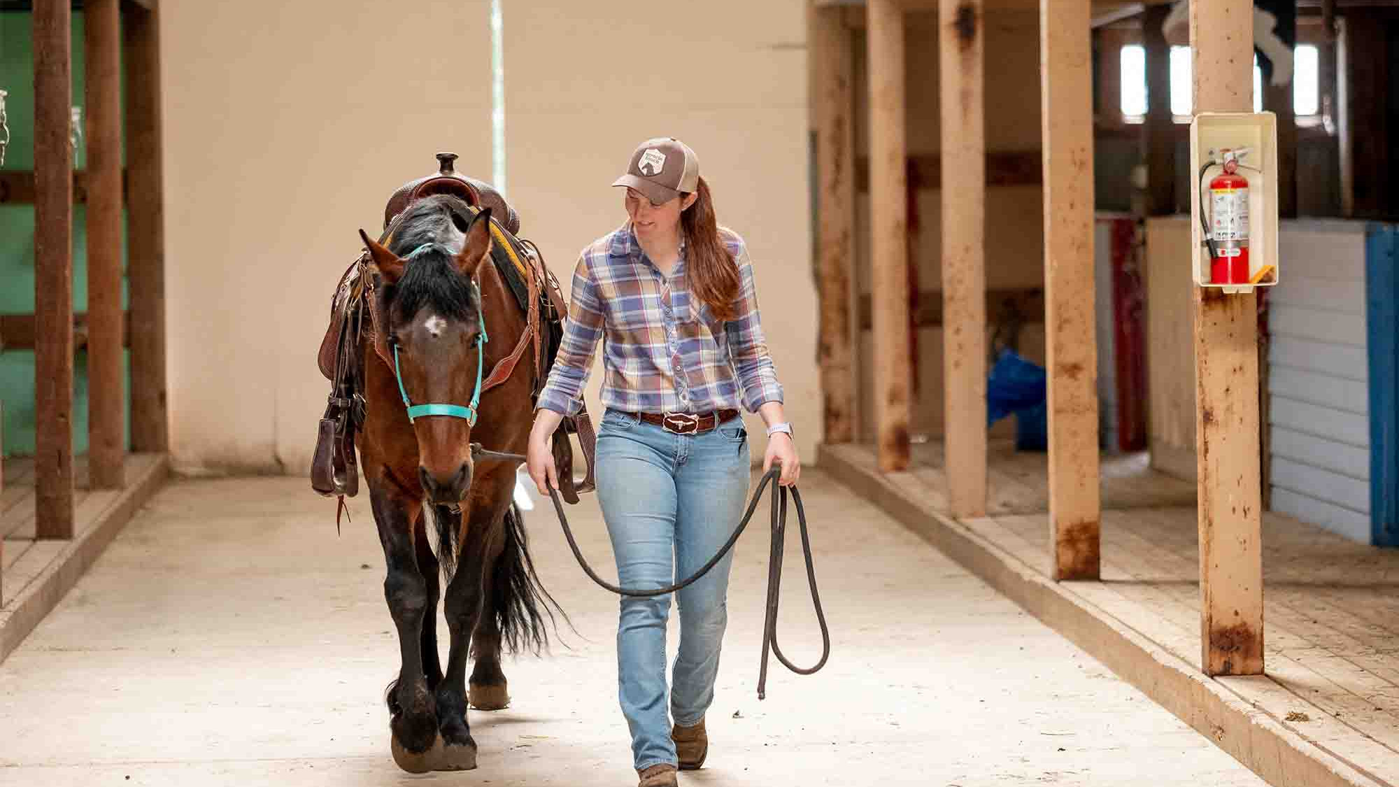 CRISTA Camps Forms & Waivers - Staff Walking Horse